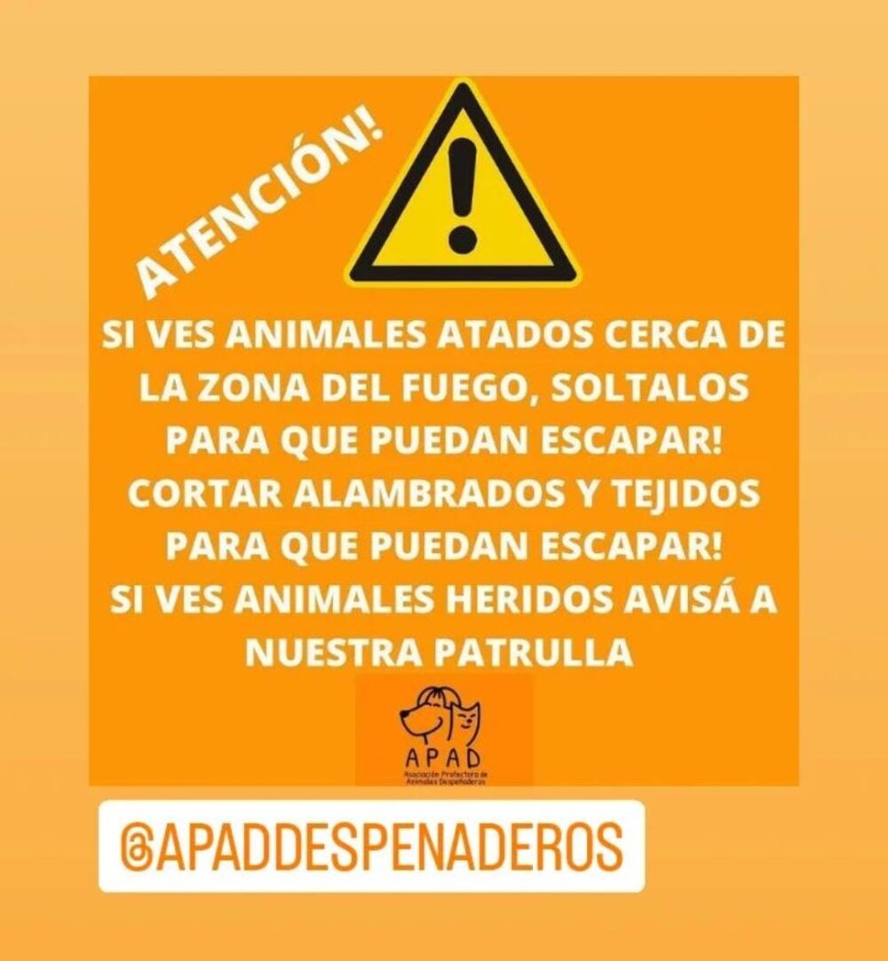 WhatsApp Image 2022 09 07 at 19.09.43 - Despeñaderos: los vecinos se movilizan ante el avance del fuego