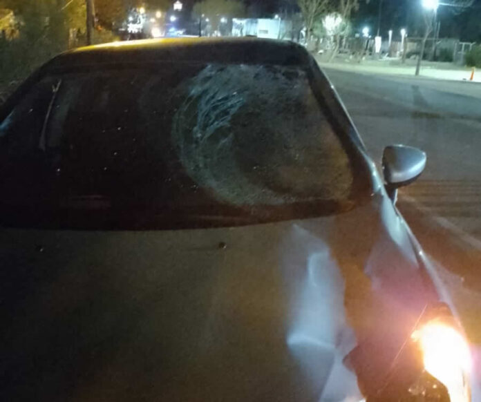 accidente fatal ruta 5