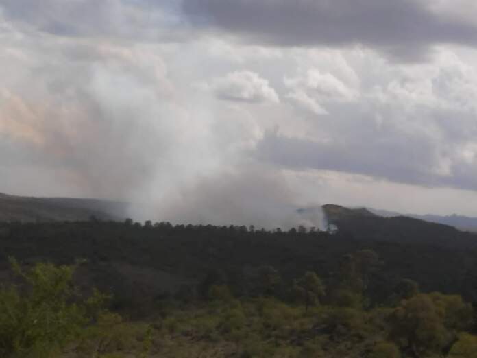 WhatsApp Image 2022-10-25 at 16.49.45 (1)