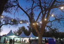 Córdoba vive un fin de semana turístico con alta ocupación, con un fuerte impulso de sus festivales