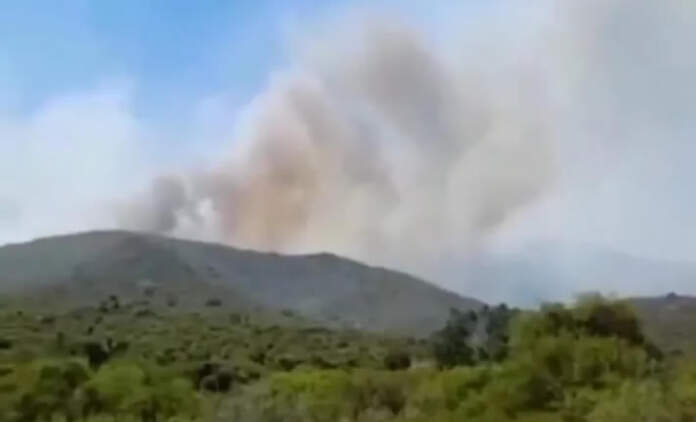 incendio salsacate