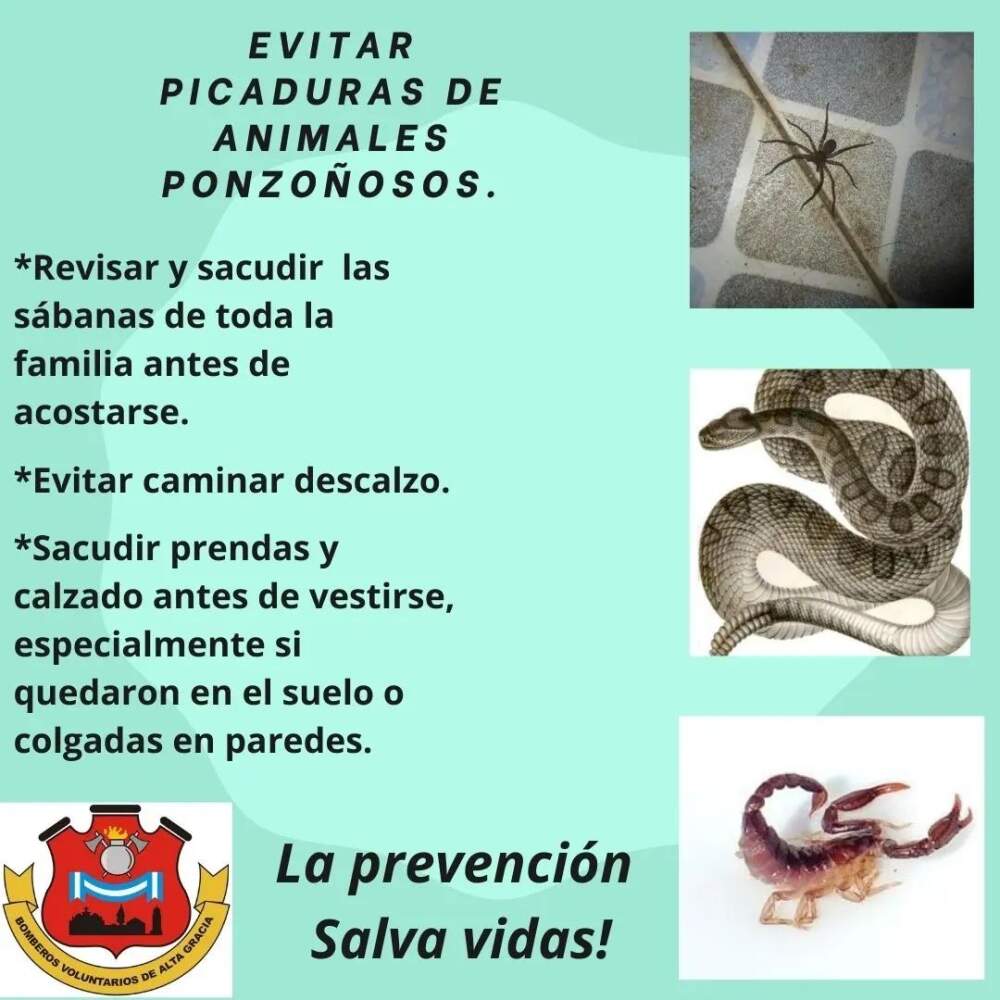Bomberos de Alta Gracia extrajeron una serpiente de un domicilio bomberos recomendaciones - Bomberos de Alta Gracia extrajeron una serpiente de un domicilio