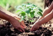 Se viene el tradicional Encuentro con los Saberes del Monte