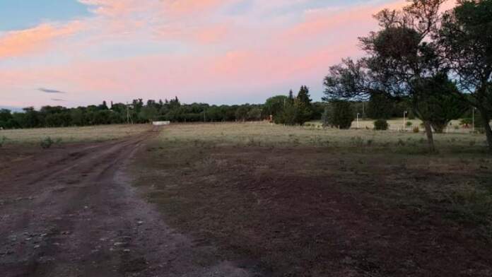 robo falda del carmen