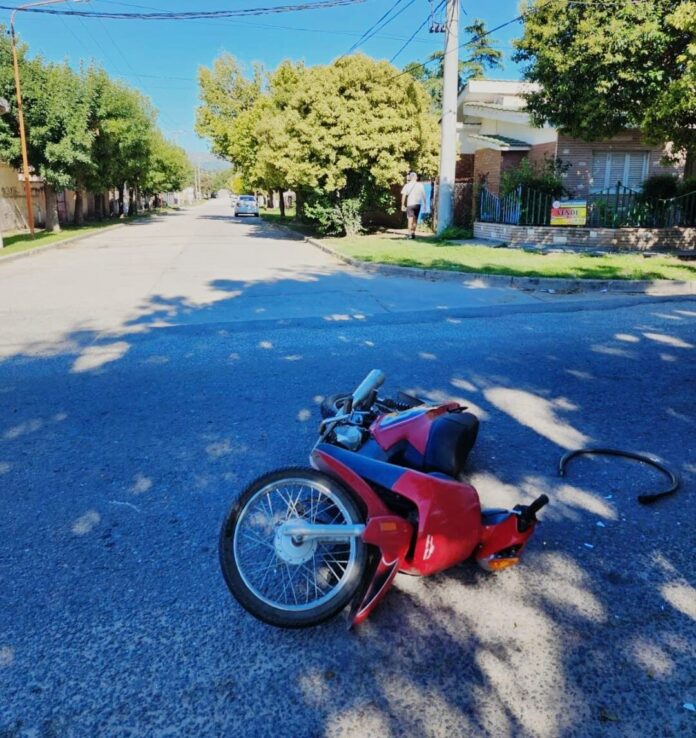 WhatsApp Image 2023-02-10 at 11.04.42