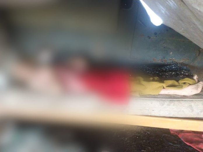 WhatsApp-Image-2023-03-27-at-08.53.08