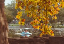 5° Concurso de Pintura “Paisajes de Otoño” en Alta Gracia