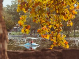 5° Concurso de Pintura “Paisajes de Otoño” en Alta Gracia
