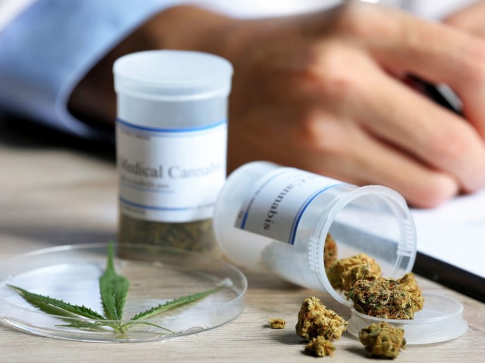 cannabis medicinal cordoba 1024x768 1 - El Hospital Illia brindará acceso al cannabis medicinal de forma gratuita