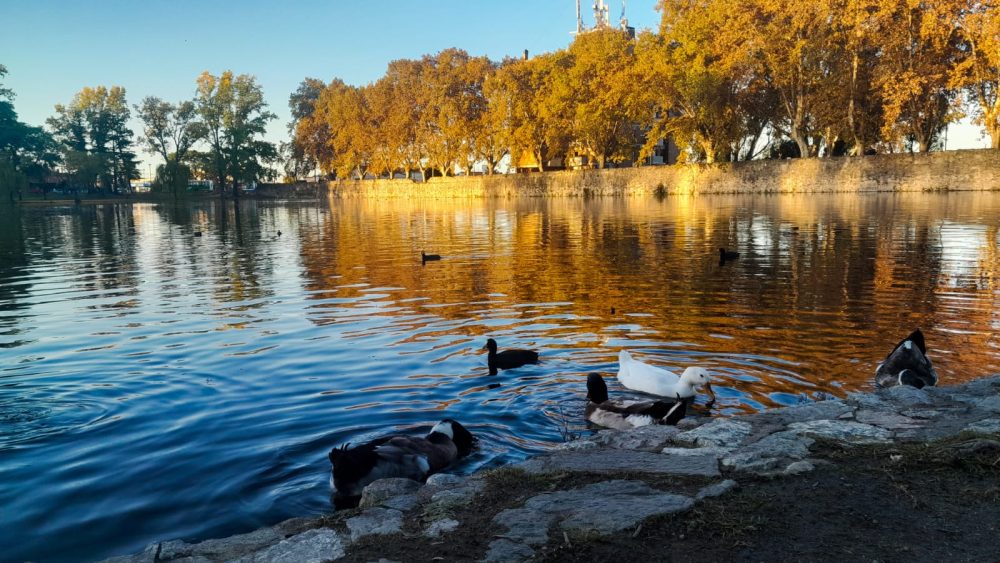 otono ilustrativa clima despejado tajamar patos arboles - Leve descenso de temperaturas para este jueves
