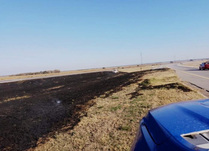 WhatsApp Image 2023-06-27 at 18.50.03