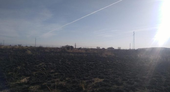 WhatsApp Image 2023-06-29 at 18.14.03