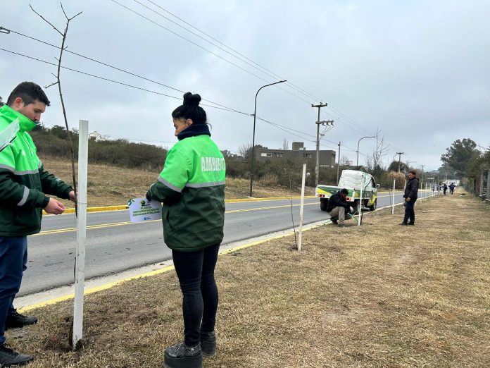 monsenor-roldan-reforestacion