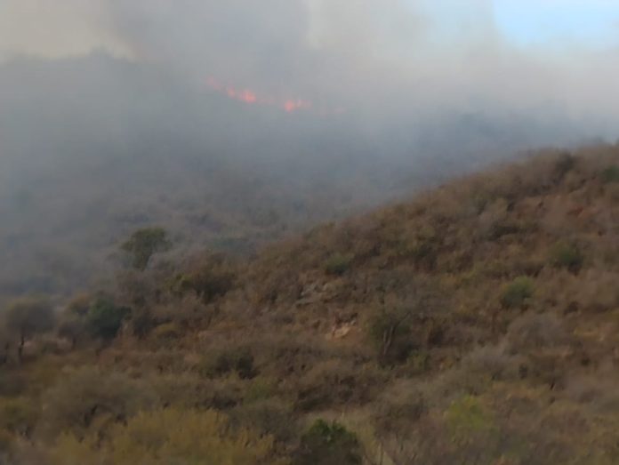 WhatsApp Image 2023-09-12 at 18.40.10