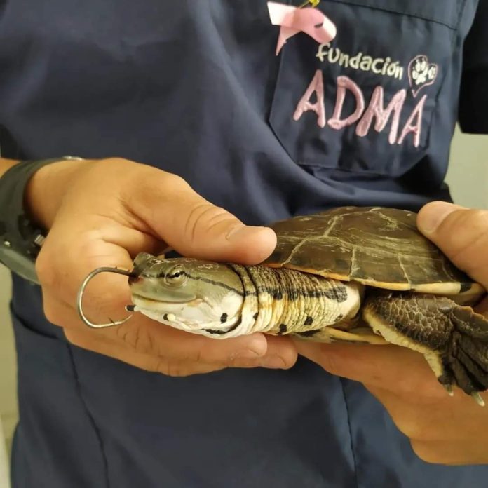 FB_IMG_1699617925720