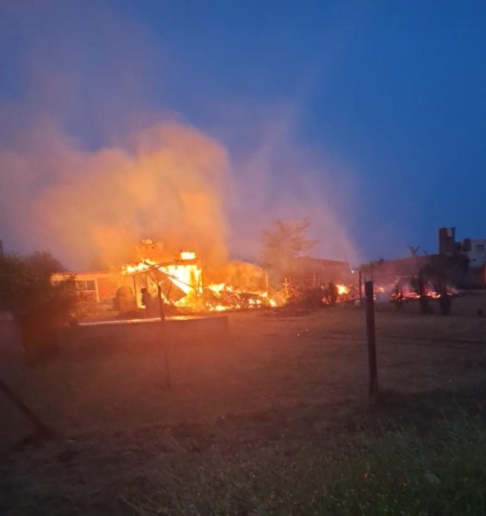 WhatsApp-Image-2023-11-29-at-08.49.29