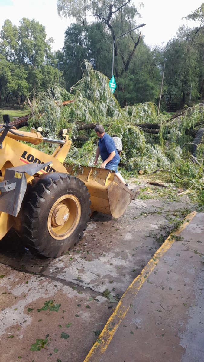 Luego de la tormenta de fin de año continúan restableciendo los servicios WhatsApp Image 2024 01 01 at 10.02.56 - Luego de la tormenta de fin de año continúan restableciendo los servicios