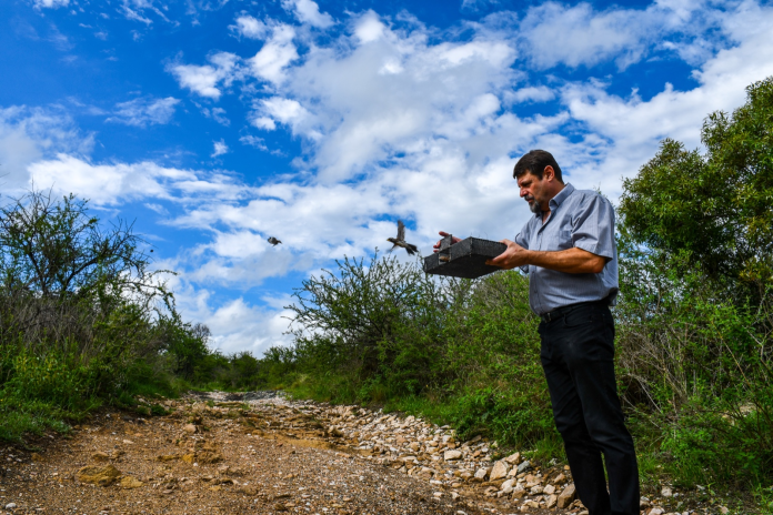 aves policia ambiental