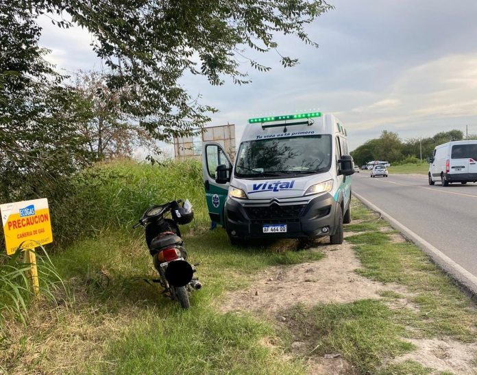 WhatsApp Image 2024-02-20 at 19.43.30