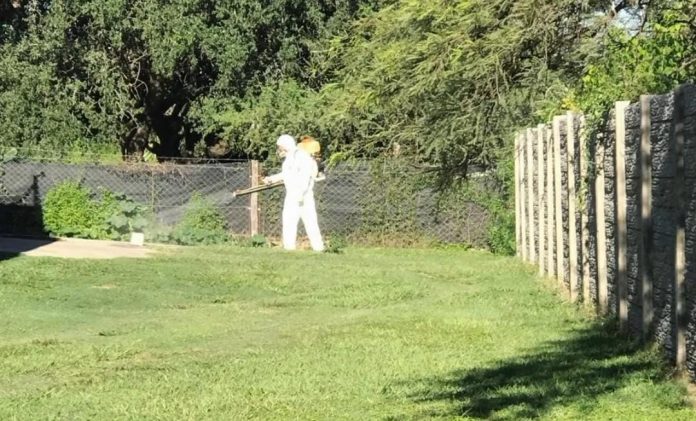 fumigacion los aromos operativo de bloqueo dengue