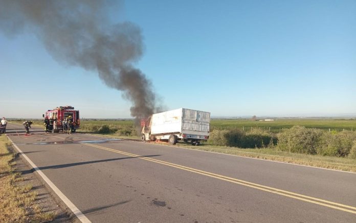 WhatsApp Image 2024-03-25 at 8.16.55 AM