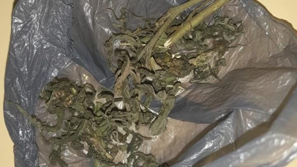 image 23 - Córdoba: un nene de 10 años llevó una bolsa de marihuana a la escuela