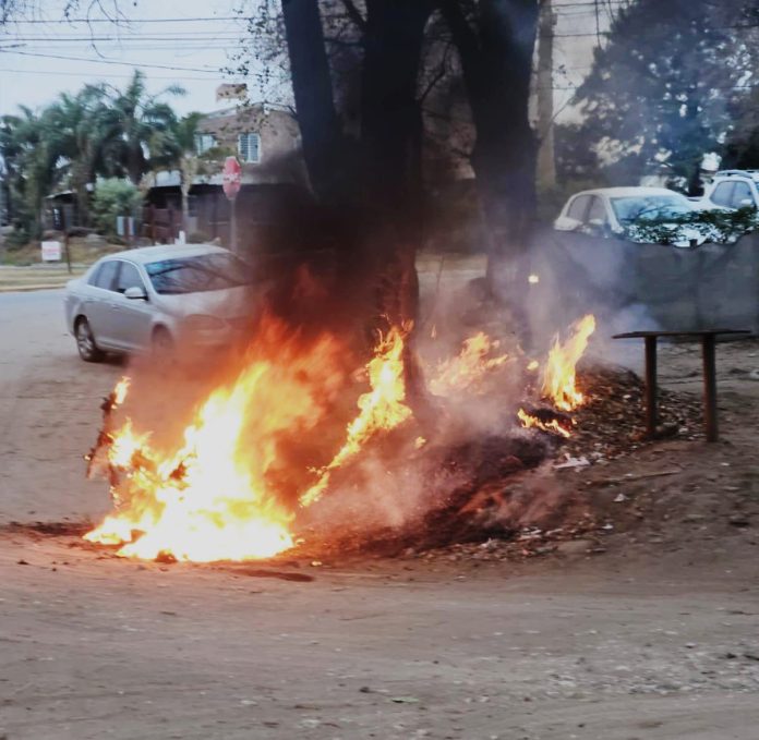 WhatsApp Image 2024-07-10 at 20.04.18