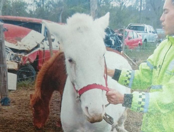 WhatsApp Image 2024-08-12 at 13.24.02