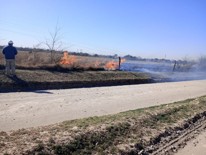 WhatsApp Image 2024-08-13 at 14.00.39