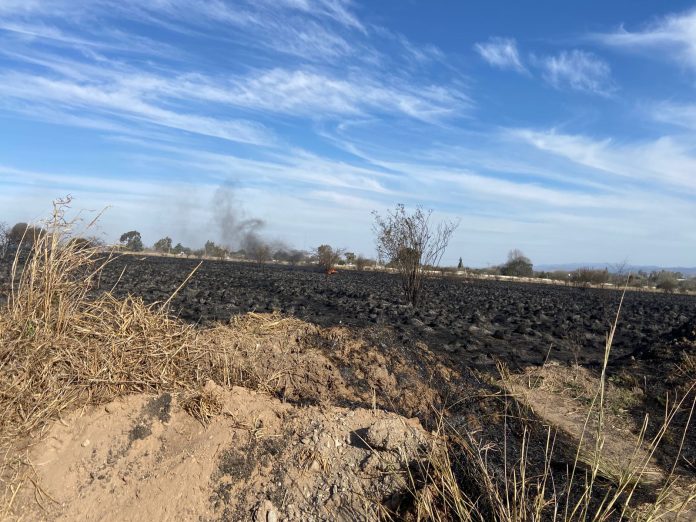 WhatsApp Image 2024-08-14 at 21.12.41