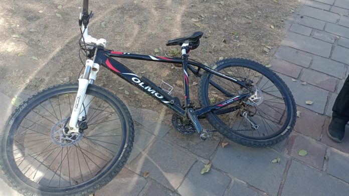 WhatsApp Image 2024-09-02 at 12.07.12 (1)