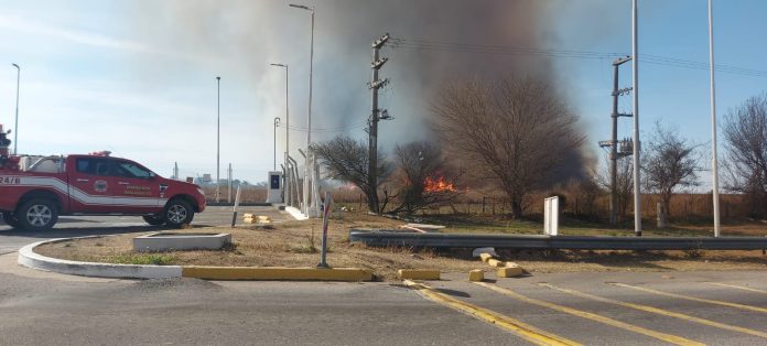 WhatsApp Image 2024-09-05 at 17.26.11