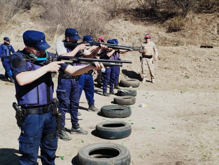 WhatsApp Image 2024-09-13 at 15.53.13