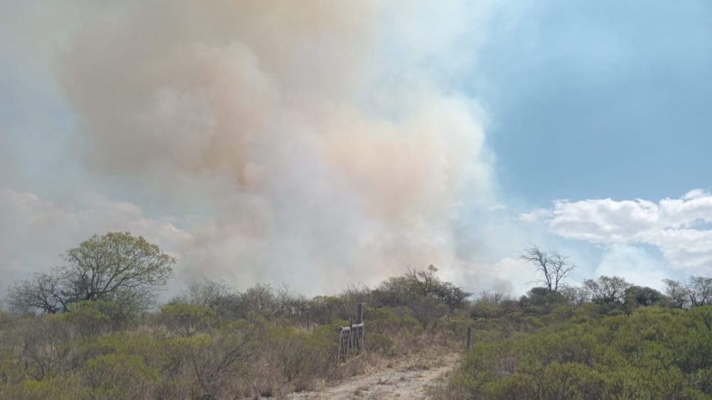 Se prendió fuego un auto y provocó un incendio forestal WhatsApp Image 2024 09 14 at 14.14.20 1 - Se prendió fuego un auto y provocó un incendio forestal