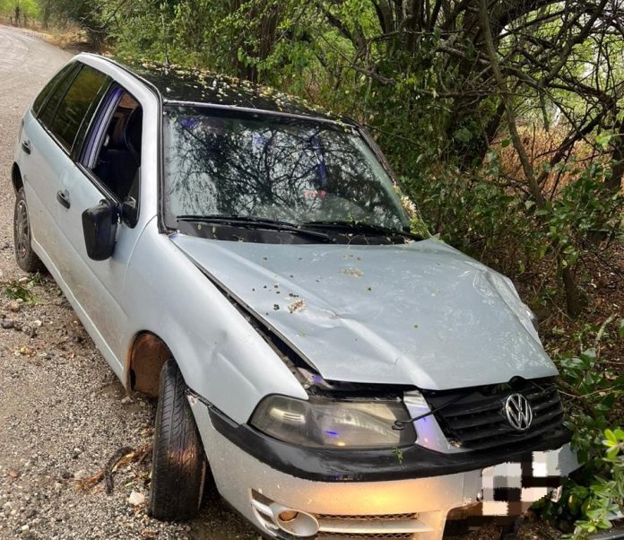 WhatsApp Image 2024-10-07 at 19.07.06