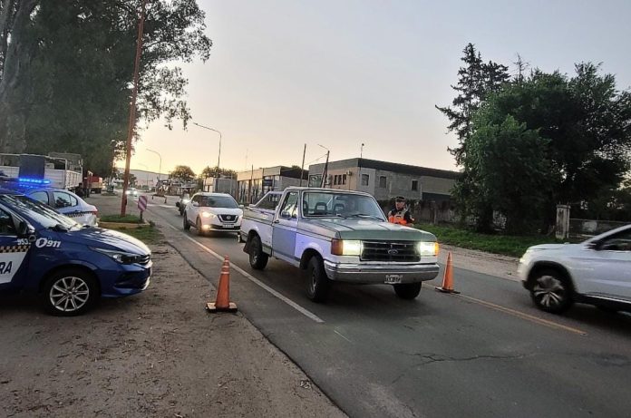 WhatsApp Image 2024-10-24 at 20.38.53