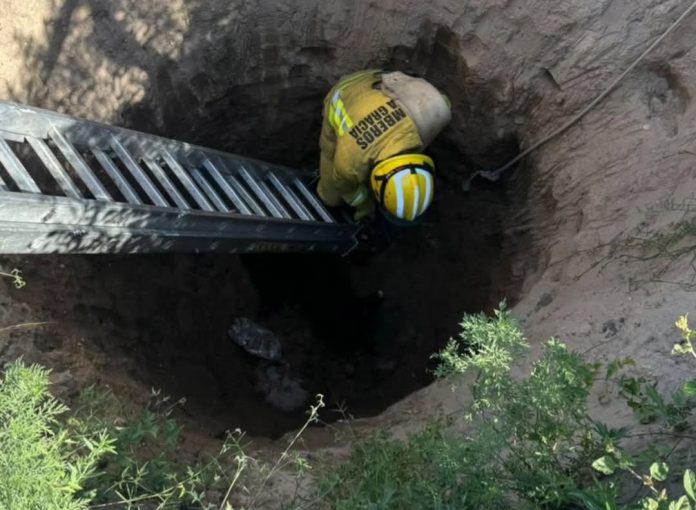 Screenshot_20241230_090402_Facebook