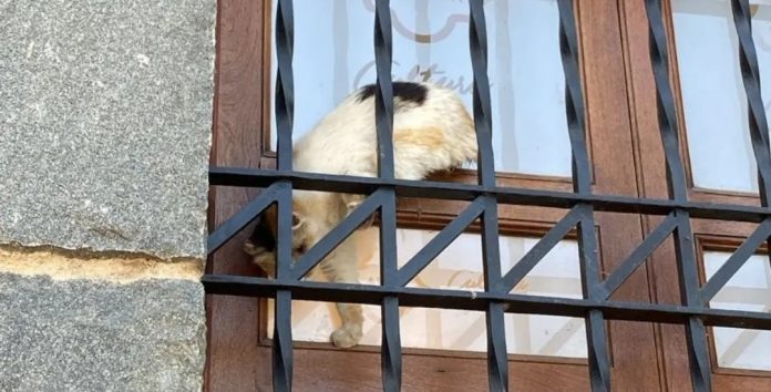 WhatsApp Image 2024-12-12 at 12.42.53