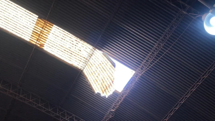 tinglado colonia caroya