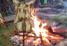 Colectividades: comida, precios, música y mucho más