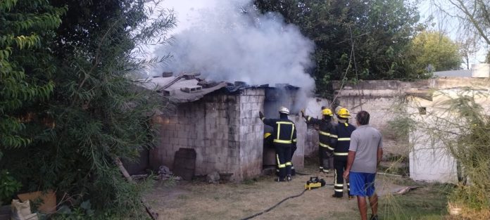 WhatsApp Image 2025-02-24 at 15.29.50