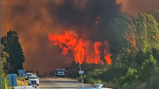 incendio el bolson