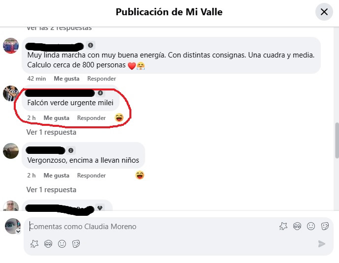 Opinión: ¿Alta Gracia neo fascista o la exaltación de la ignorancia? mi valle marcha1 - Opinión: ¿Alta Gracia neo fascista o la exaltación de la ignorancia?