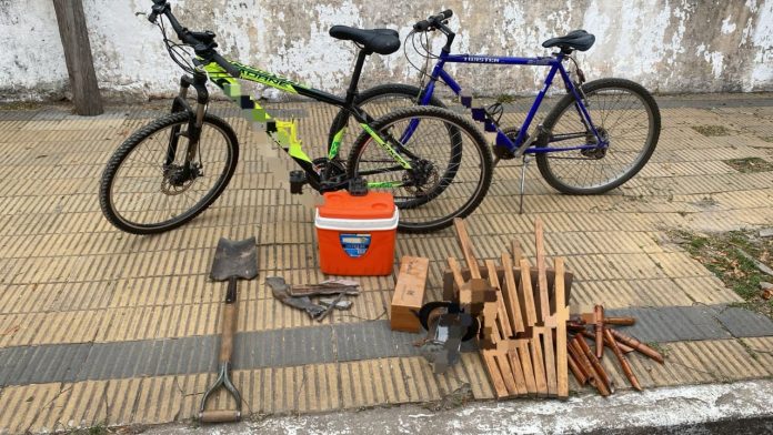 WhatsApp Image 2025-05-04 at 15.04.36