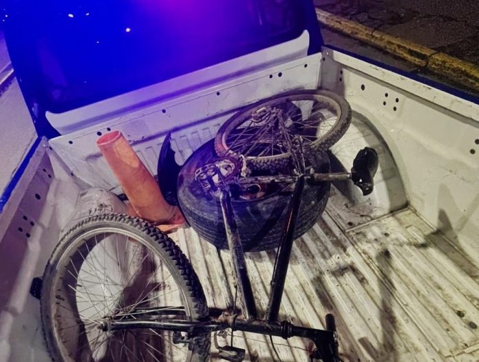 WhatsApp Image 2025-07-29 at 09.10.19