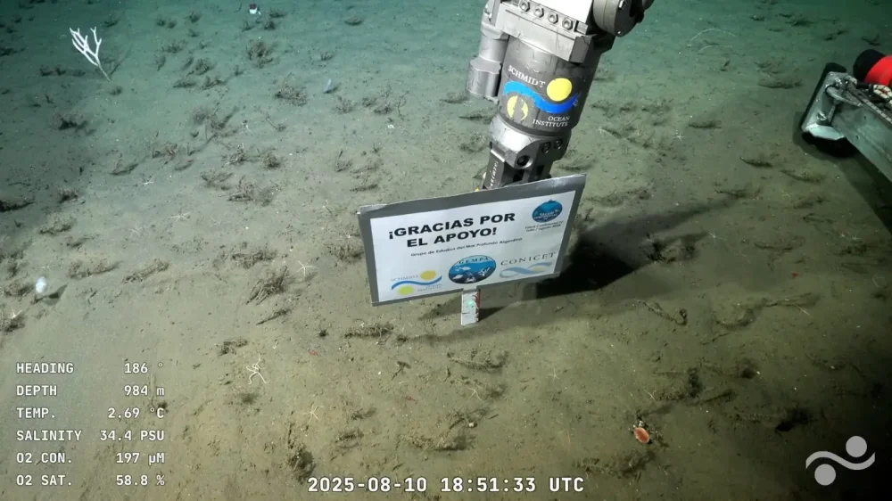 conicet exploracion - "Gracias por el apoyo": la emoción de los científicos del Conicet tras finalizar la expedición submarina
