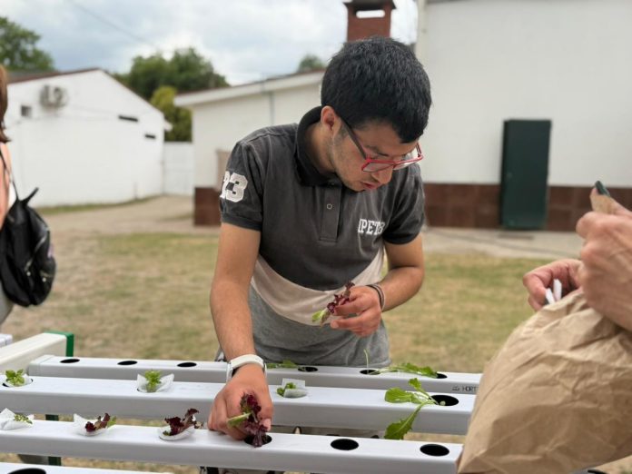 WhatsApp Image 2025-10-29 at 09.39.56