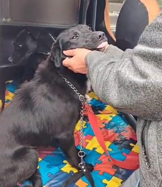 WhatsApp Image 2025-10-30 at 12.45.38