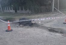 Murió un caballo electrocutado mientras un niño lo cabalgaba