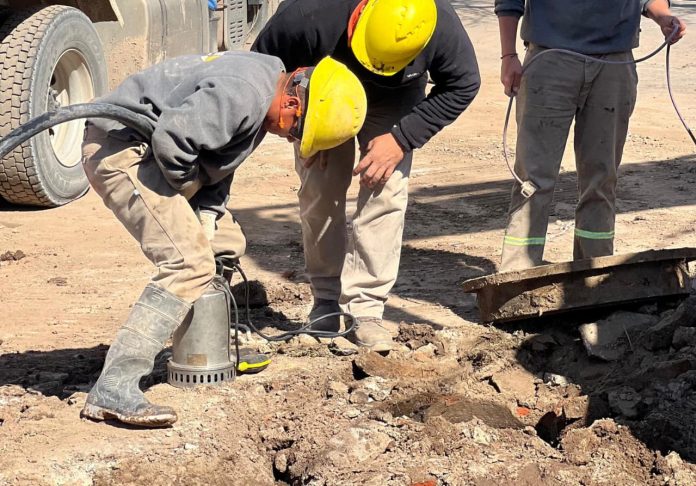 WhatsApp Image 2025-12-17 at 13.03.14